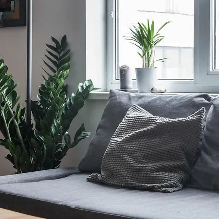 Apartment Rooftop Studio In Absolute Center Of